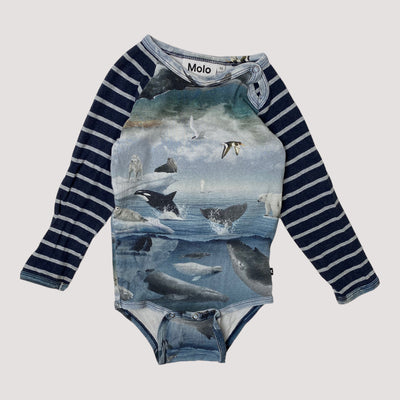body, arctic landscape | 92cm