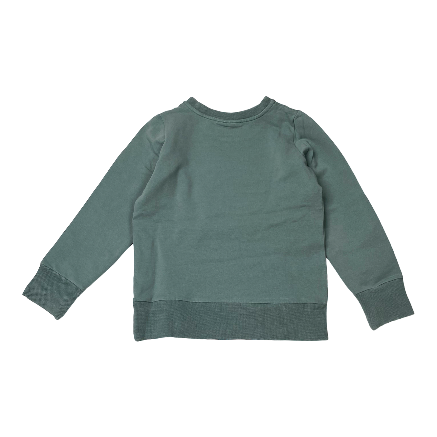 Gugguu sweatshirt, mint green | 110cm