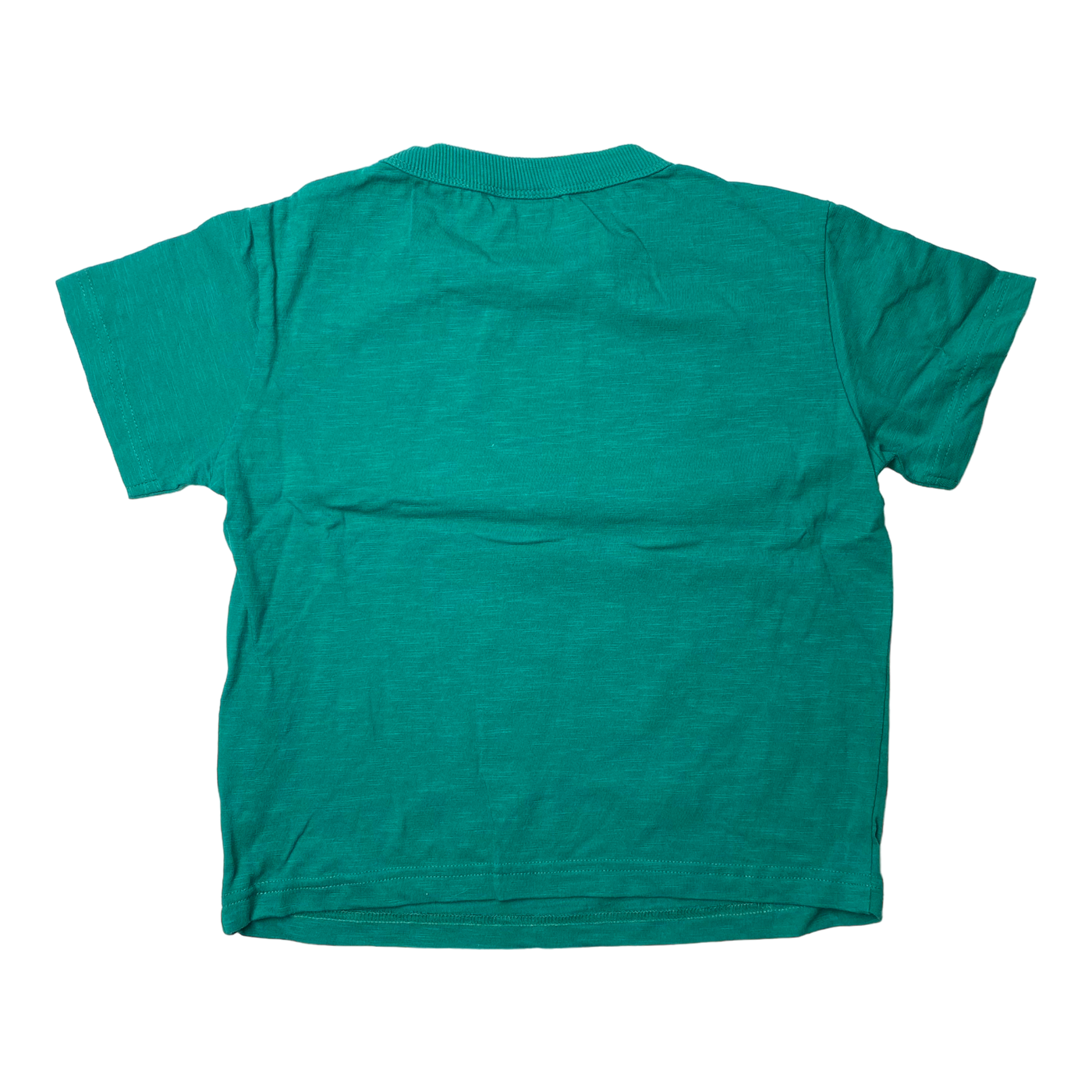 Mainio t-shirt, roar | 110/116cm