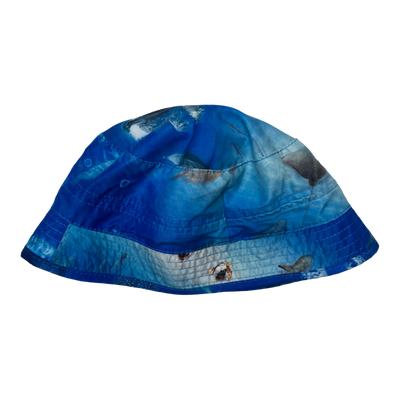 Molo summer hat, above ocean | 3-5y