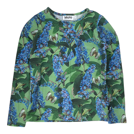 Molo rose shirt, butterflies | 122cm