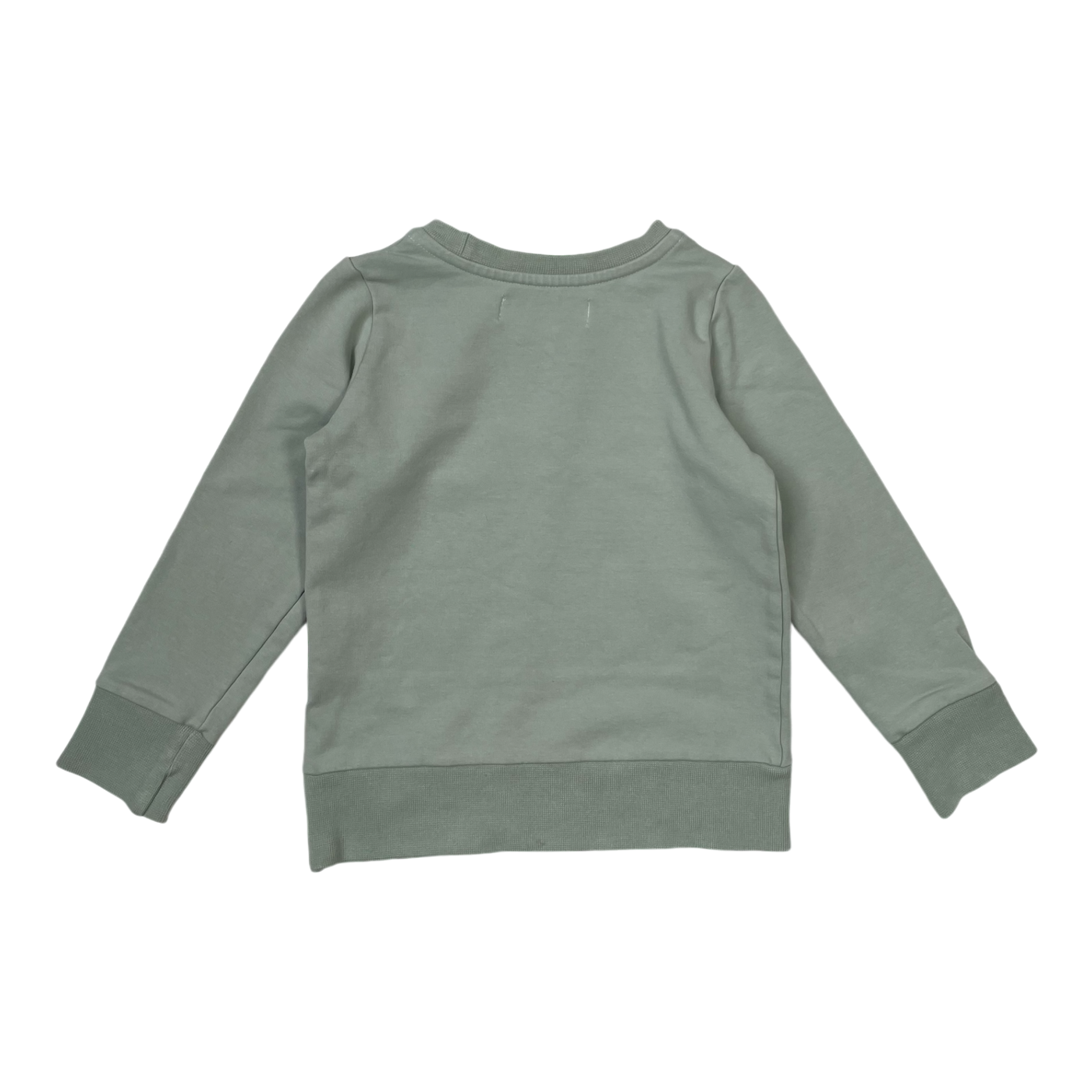 Gugguu sweatshirt, mint green | 98cm