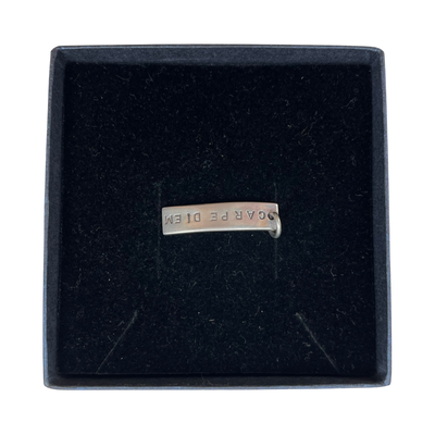 Efva Attling carpe diem pendant, silver