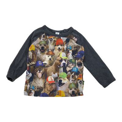 Molo shirt, dogs | 92cm