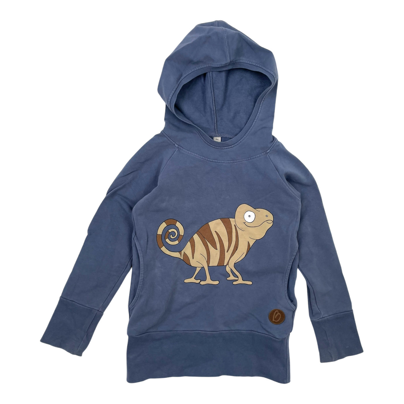 Blaa sweat hoodie, chameleon | 110/116cm
