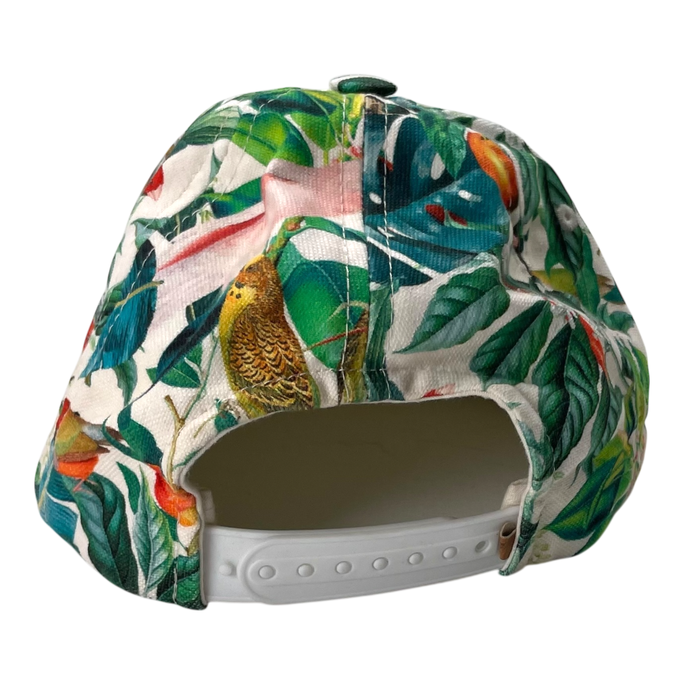 Metsola cap, birds | 5-6 years