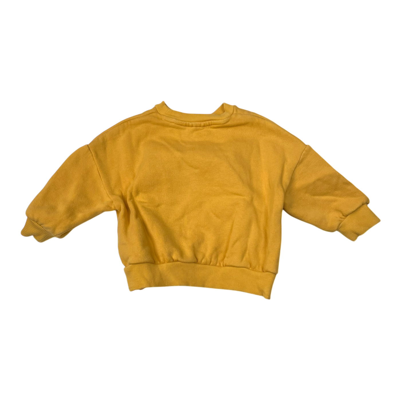 Mini Rodini sweatshirt, dog | 80/86cm