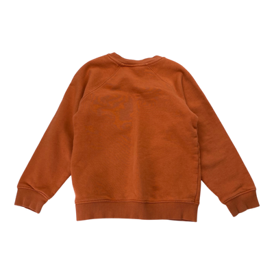 Mini Rodini sweatshirt, mahogany | 116/122cm