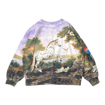 Molo sweatshirt, poetic landscape | 128cm