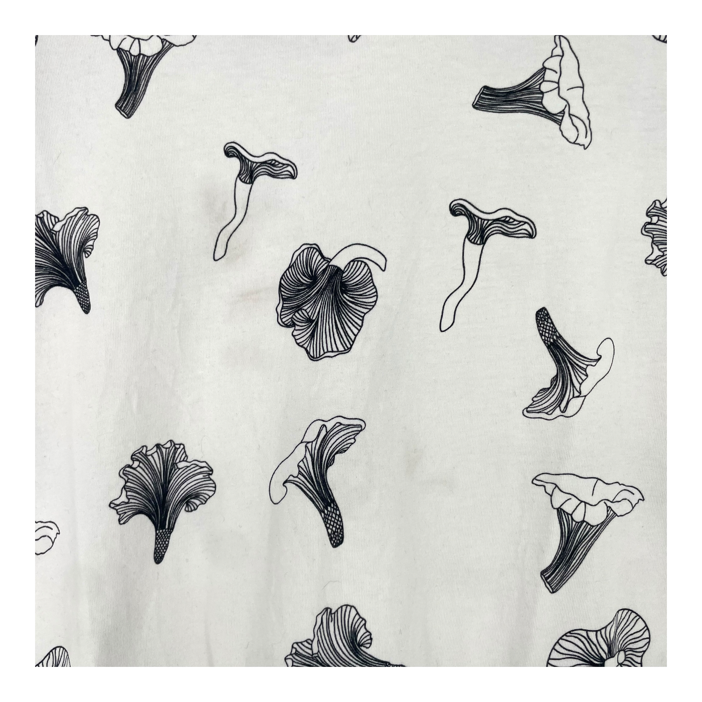 Riva Clothing t-shirt, mushroom | unisex M