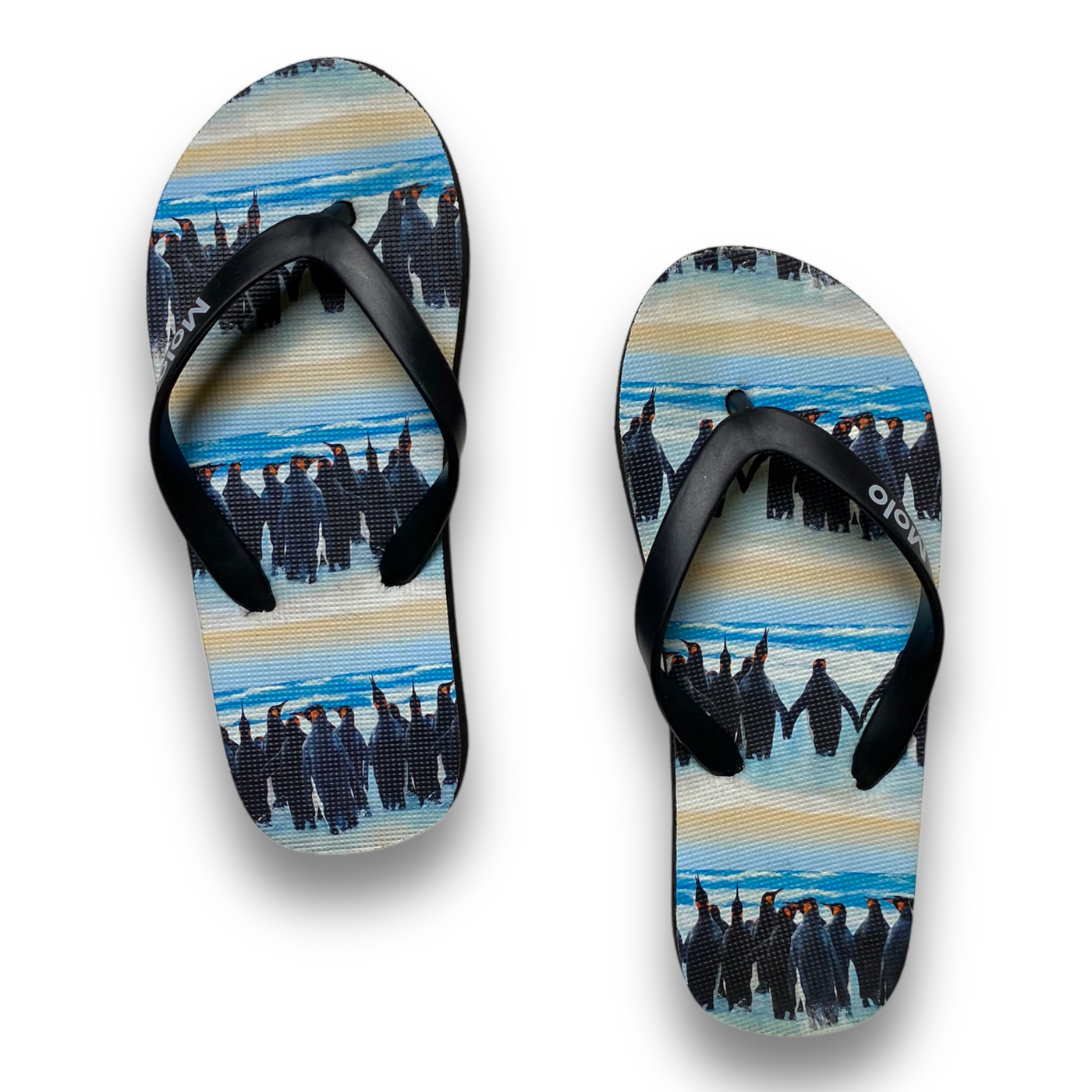 Molo flip flops, penguin | 26/27cm