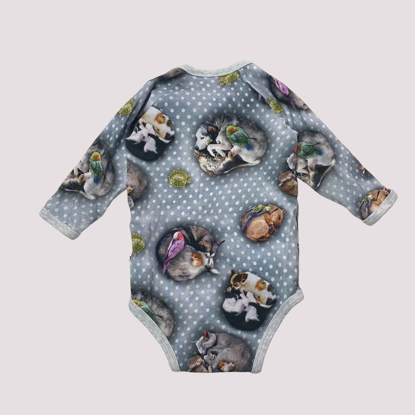 fonda body, pets n dots | 62cm