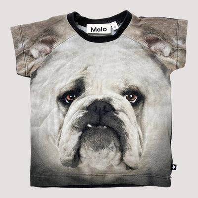 Molo t-shirt, black and white bulldog | 74cm
