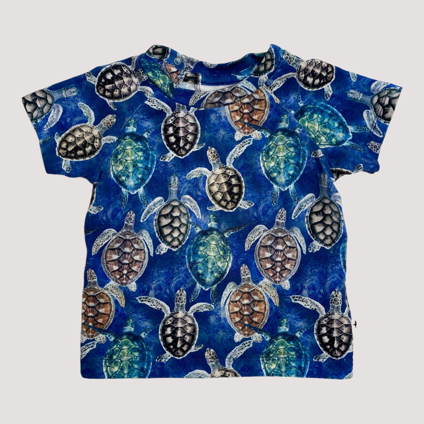 t-shirt, mini turtles | 74cm